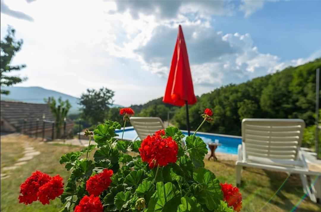 Villa Honey House Grabovac  Exterior foto
